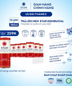 STAR KOMBUCHA Lựu Đỏ / Pomegranate (250ml/lon) - Trà lên men vi sinh bảo vệ sức khỏe